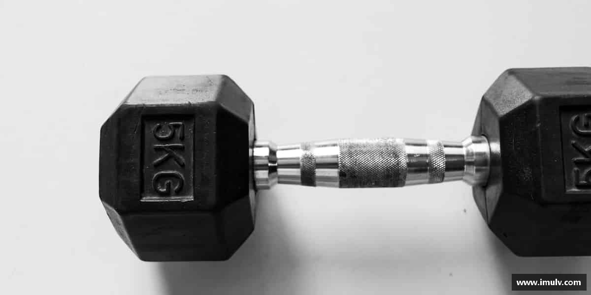 解读伟德国际唯一官网入口